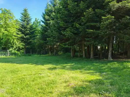 Eladó családi ház, Babosdöbréte 3 szoba 87 m² 37 M Ft