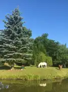 Vas megye - Bajánsenye