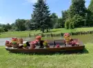 Vas megye - Bajánsenye