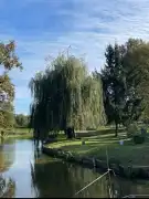 Vas megye - Bajánsenye