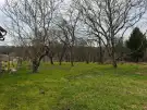 Vas megye - Ispánk