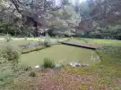 Vas megye - Orfalu