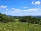 Veszprém megye - Pécsely