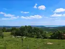 Veszprém megye - Pécsely