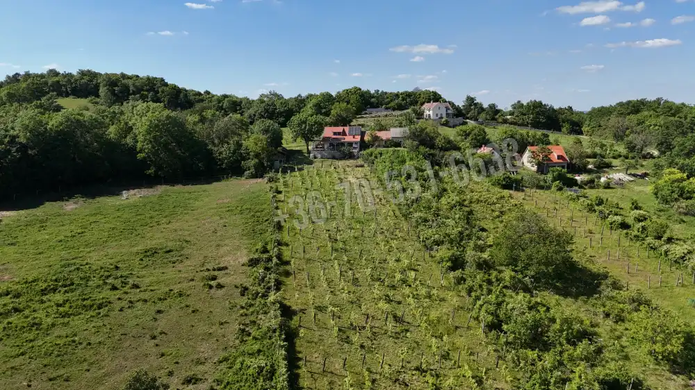 Veszprém megye - Pécsely