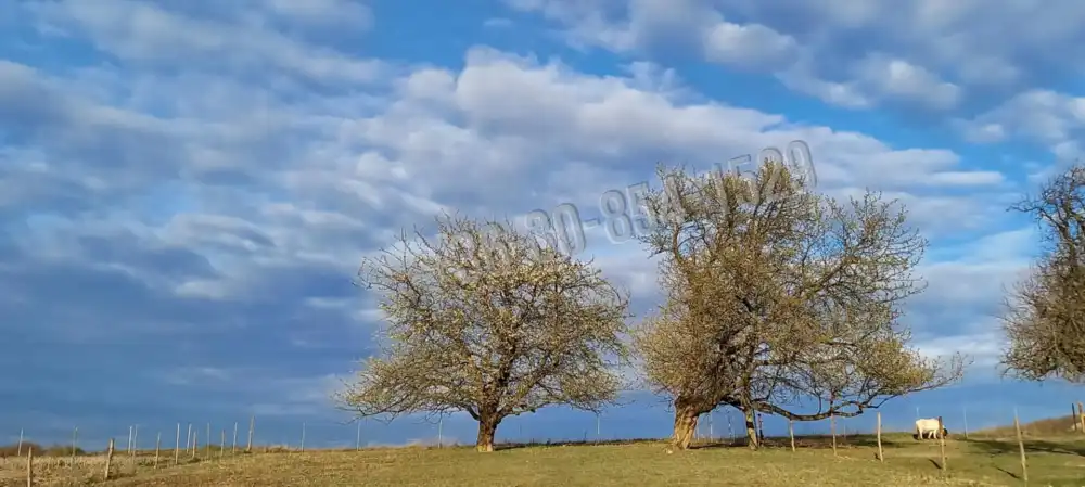 Veszprém megye - Sümegprága