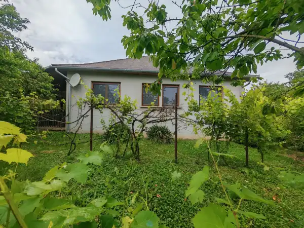 Eladó családi ház, Szaknyér 3 szoba 99 m² 58.9 M Ft