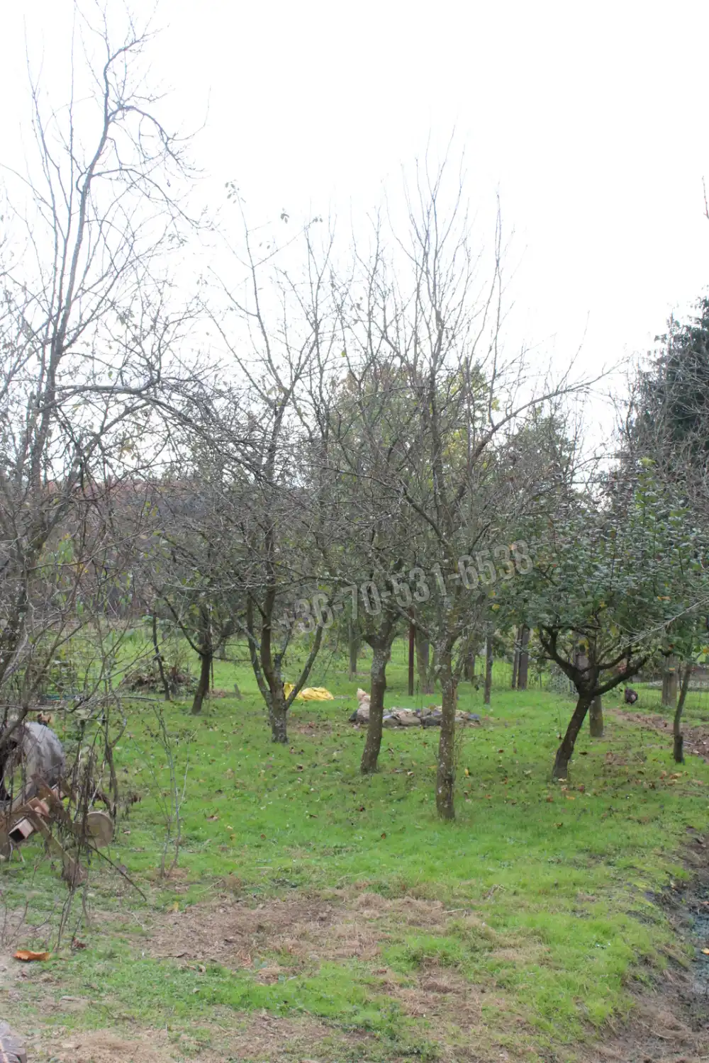 Vas megye - Szatta