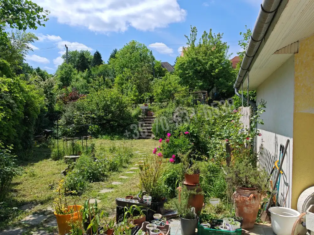 Zala megye - Zalaegerszeg