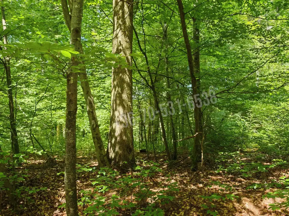 Vas megye - Felsőszölnök