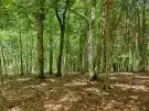 Vas megye - Felsőszölnök