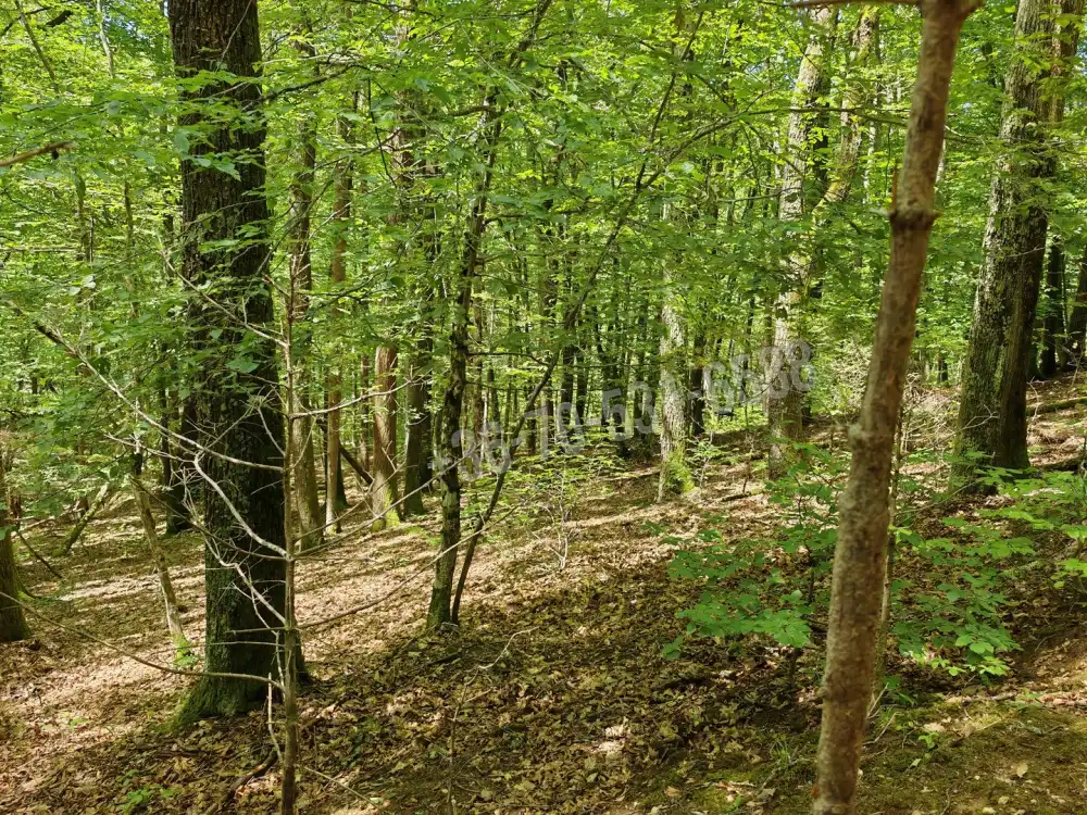 Vas megye - Felsőszölnök