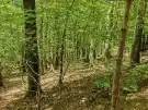 Vas megye - Felsőszölnök