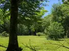 Vas megye - Felsőszölnök