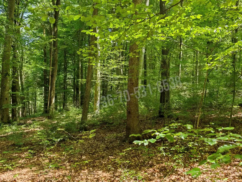 Vas megye - Felsőszölnök