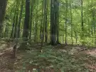 Vas megye - Felsőszölnök