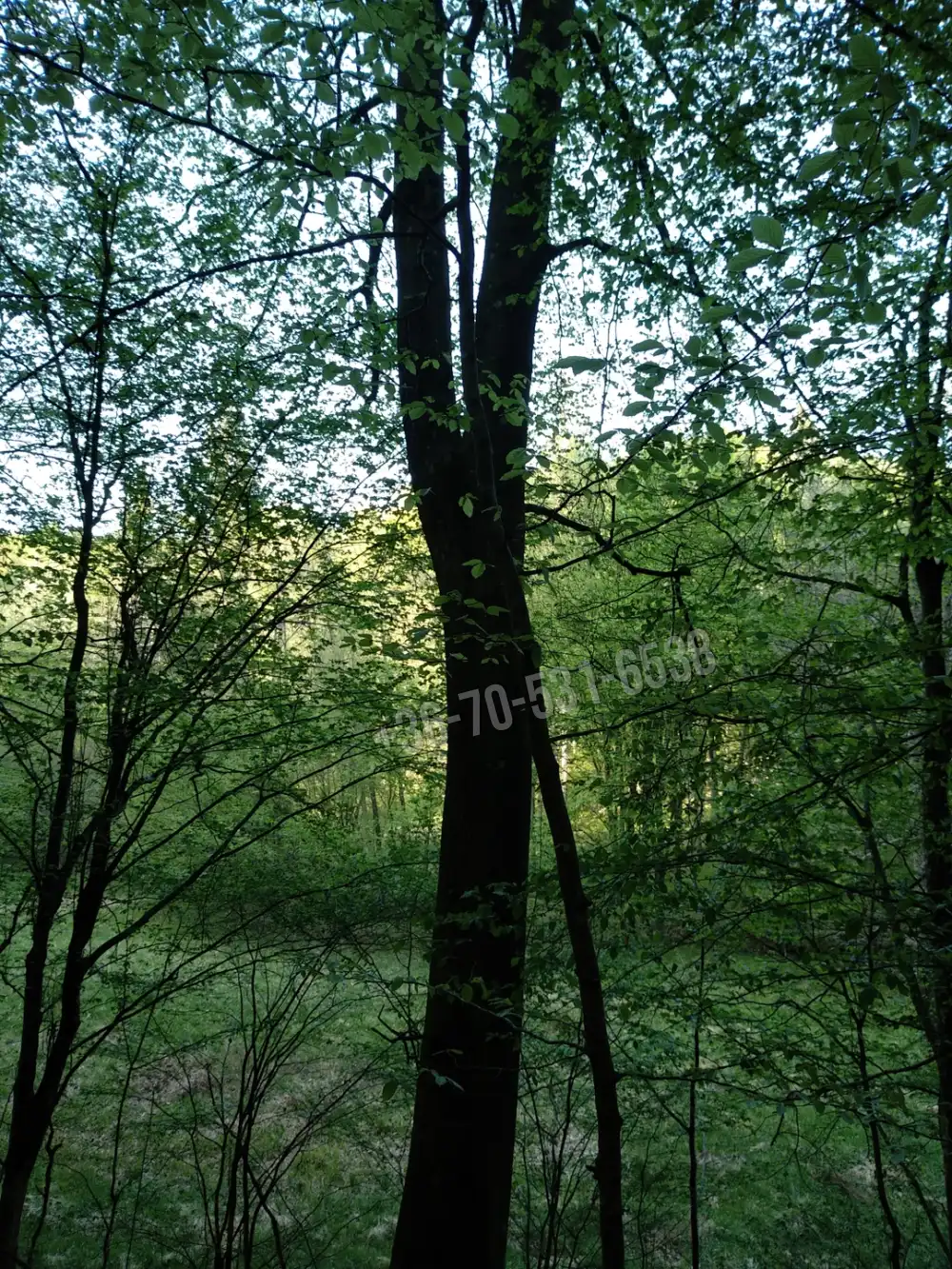 Vas megye - Kétvölgy