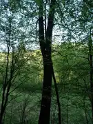 Vas megye - Kétvölgy