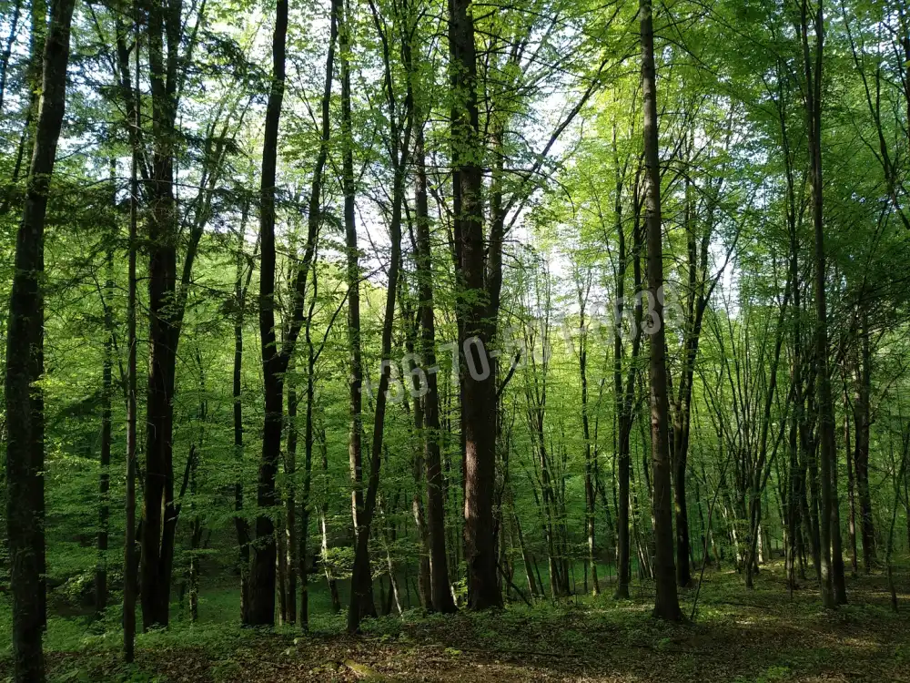 Vas megye - Kétvölgy