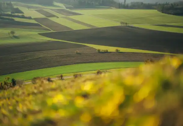 Eladó Szántó, Ispánk 35532 m² 10.41 M Ft