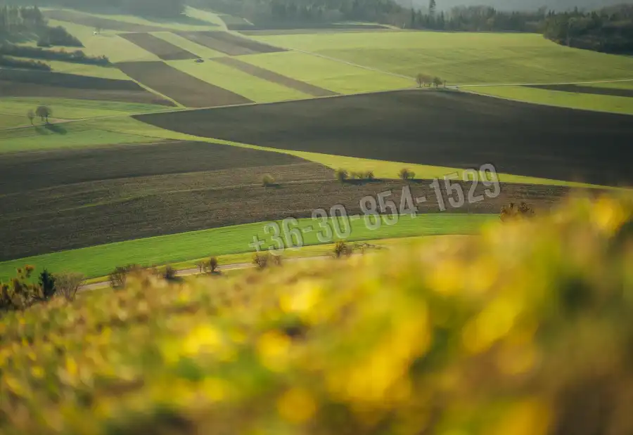 eladó  Szántó, Ispánk